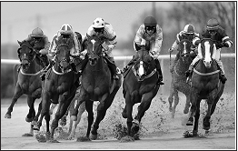 Horses Racing